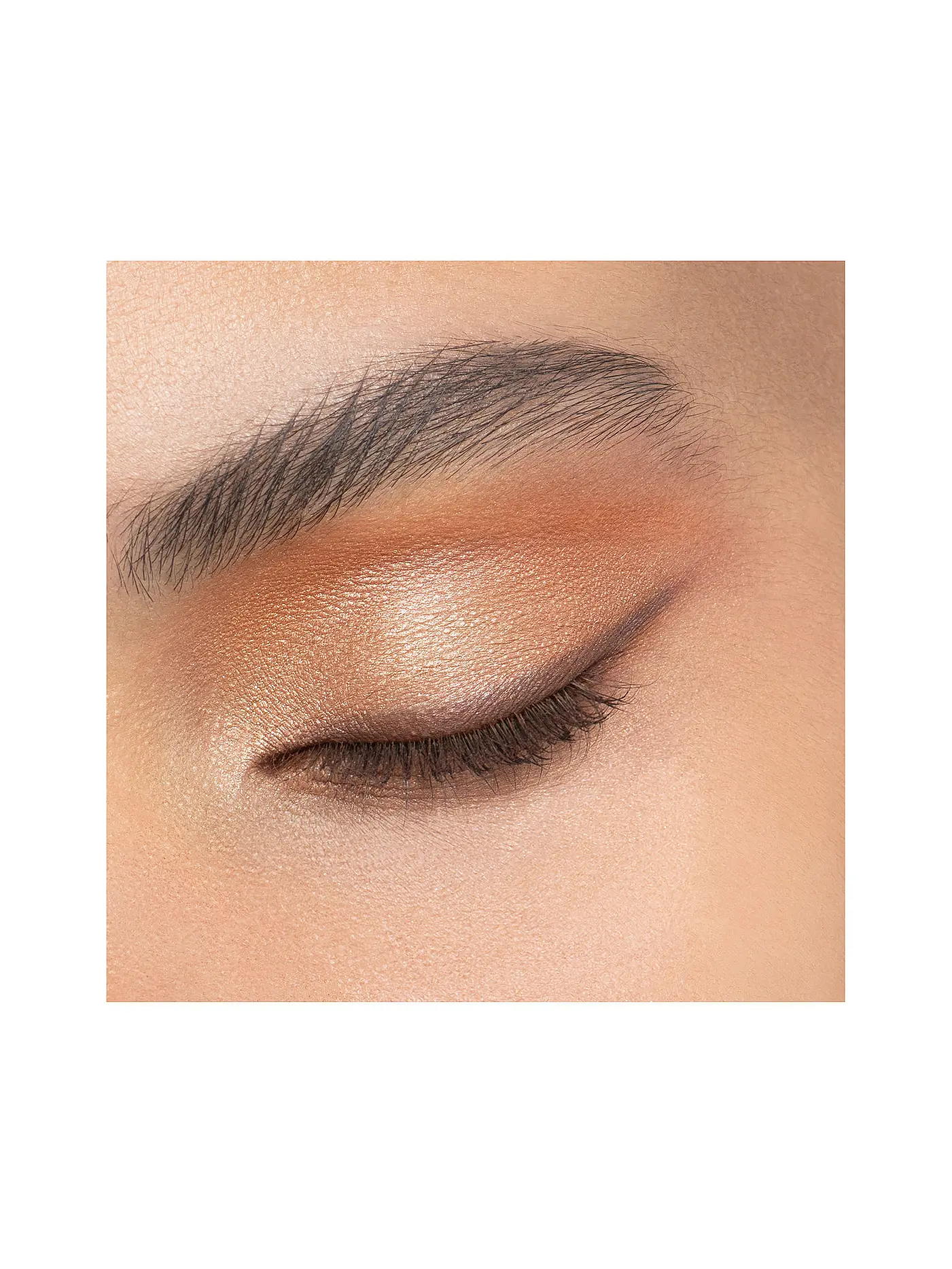 DIOR | Lidaschatten - Diorshow 5 Couleurs ( 439 Copper ) | rosa
